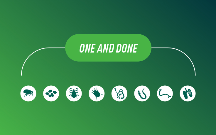 Veterinarian with a dog