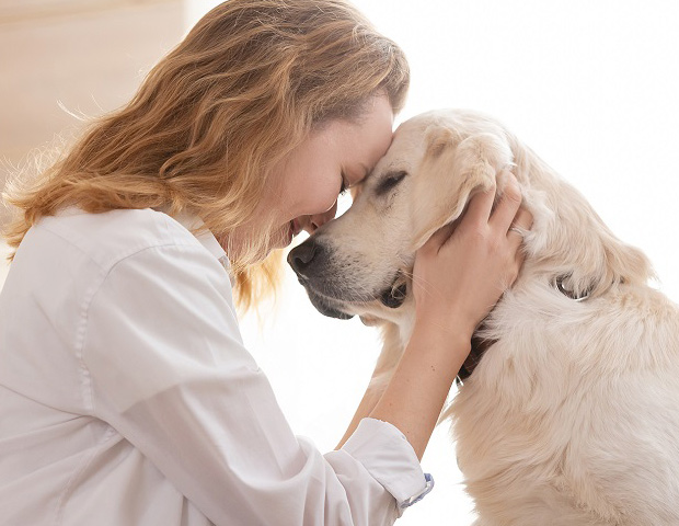 owner and dog bump head