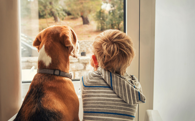 Can_humans_get_ticks_from_dogs?