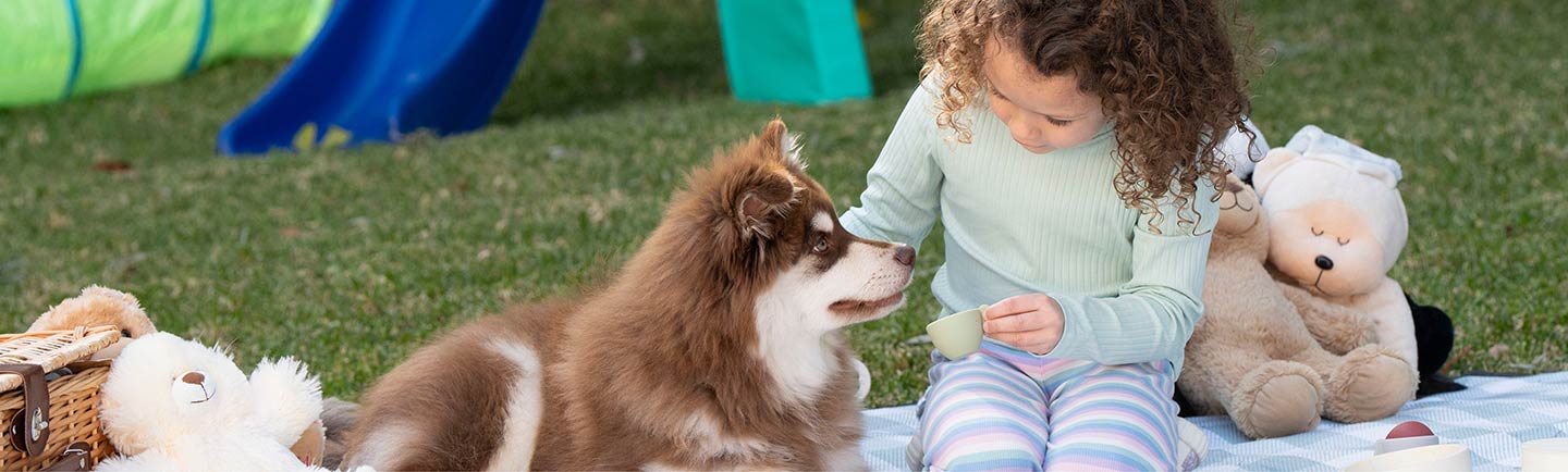 a-girl-playing-with-husky-puppy-outdoors