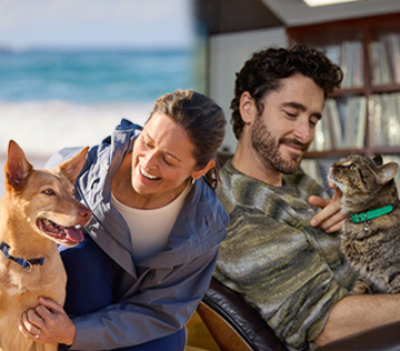 fanmily-bonding-with-their-furry-friends-cat-dog