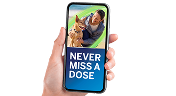 NexGard-Spectra-SMS-reminders