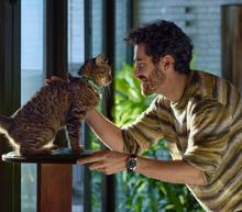 happy-man-and-healthy-cat-sharing-a-close-moment.