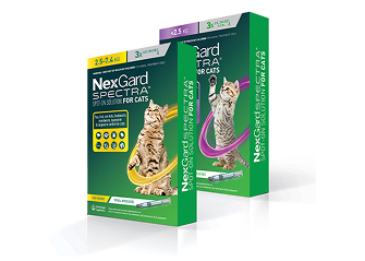 NexGard-Spectra-for-Cats-group-pack-shot