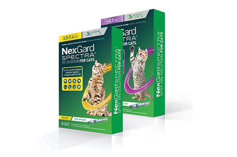 NexGard-Spectra-for-Cats-group-pack-shot