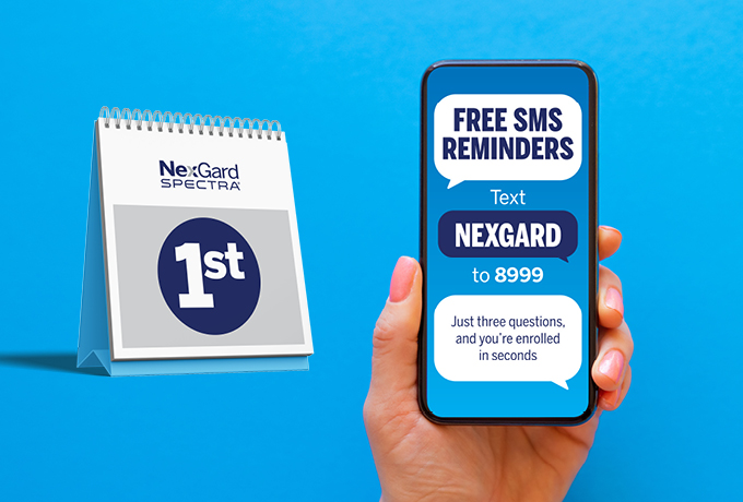 nexgard 1st every 1st for next level parasite protection with Lisa Carrington and Colin
